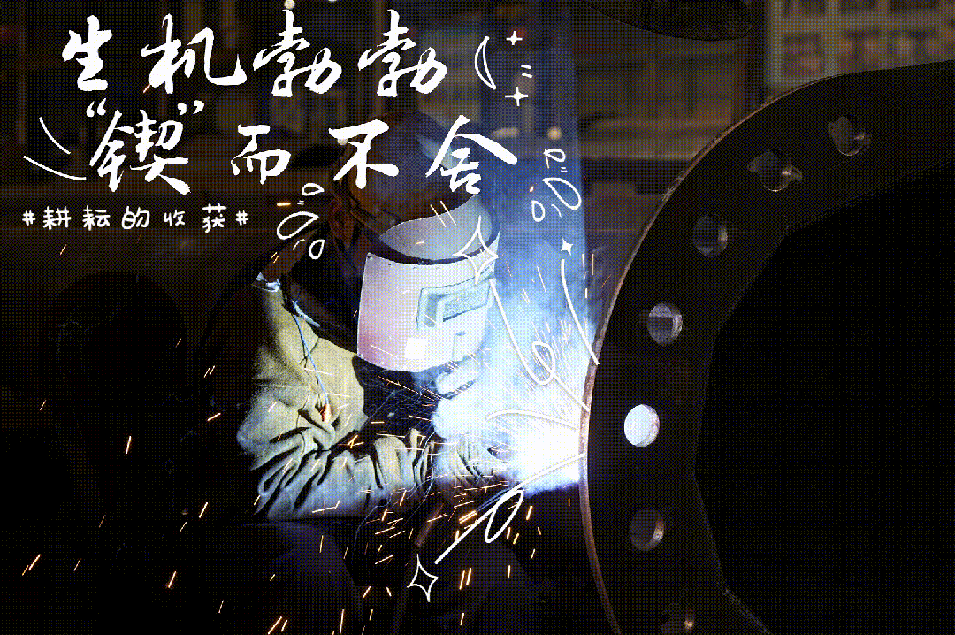 02.gif