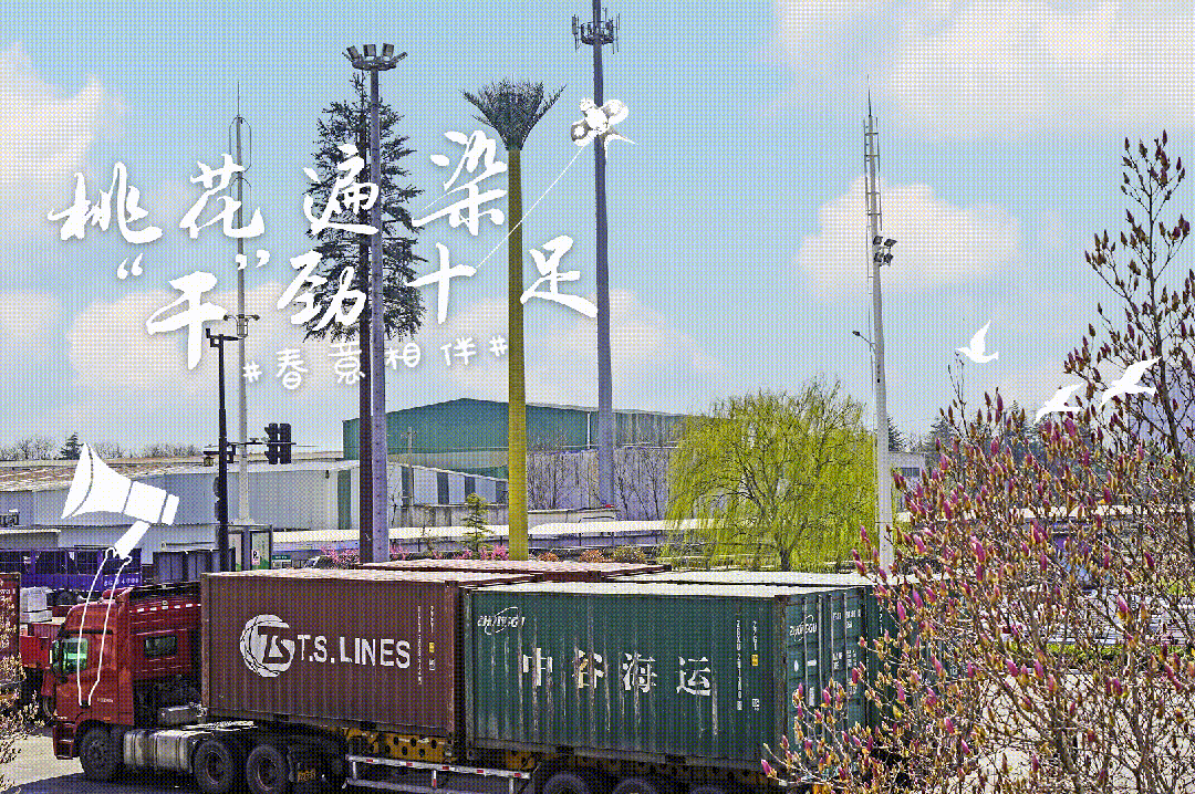 06.gif