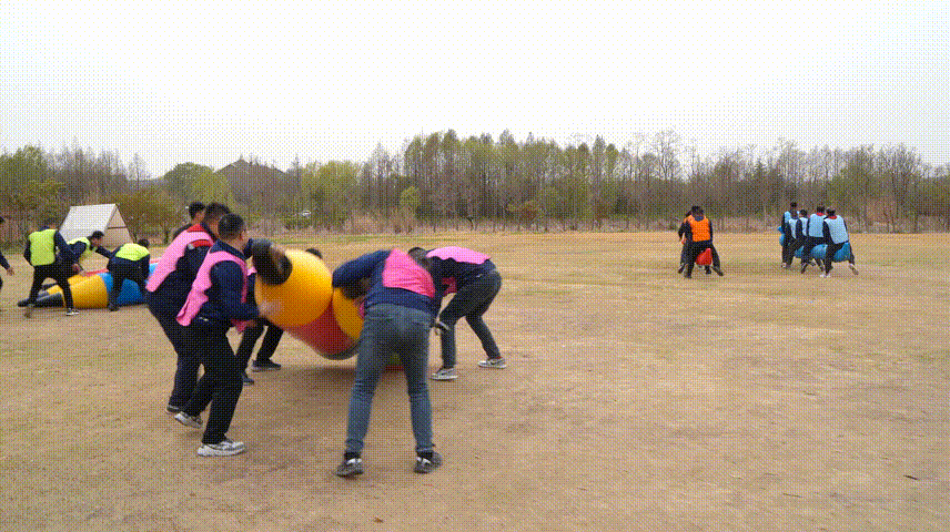 游戏 (2).gif