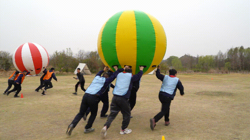 游戏 (4).gif