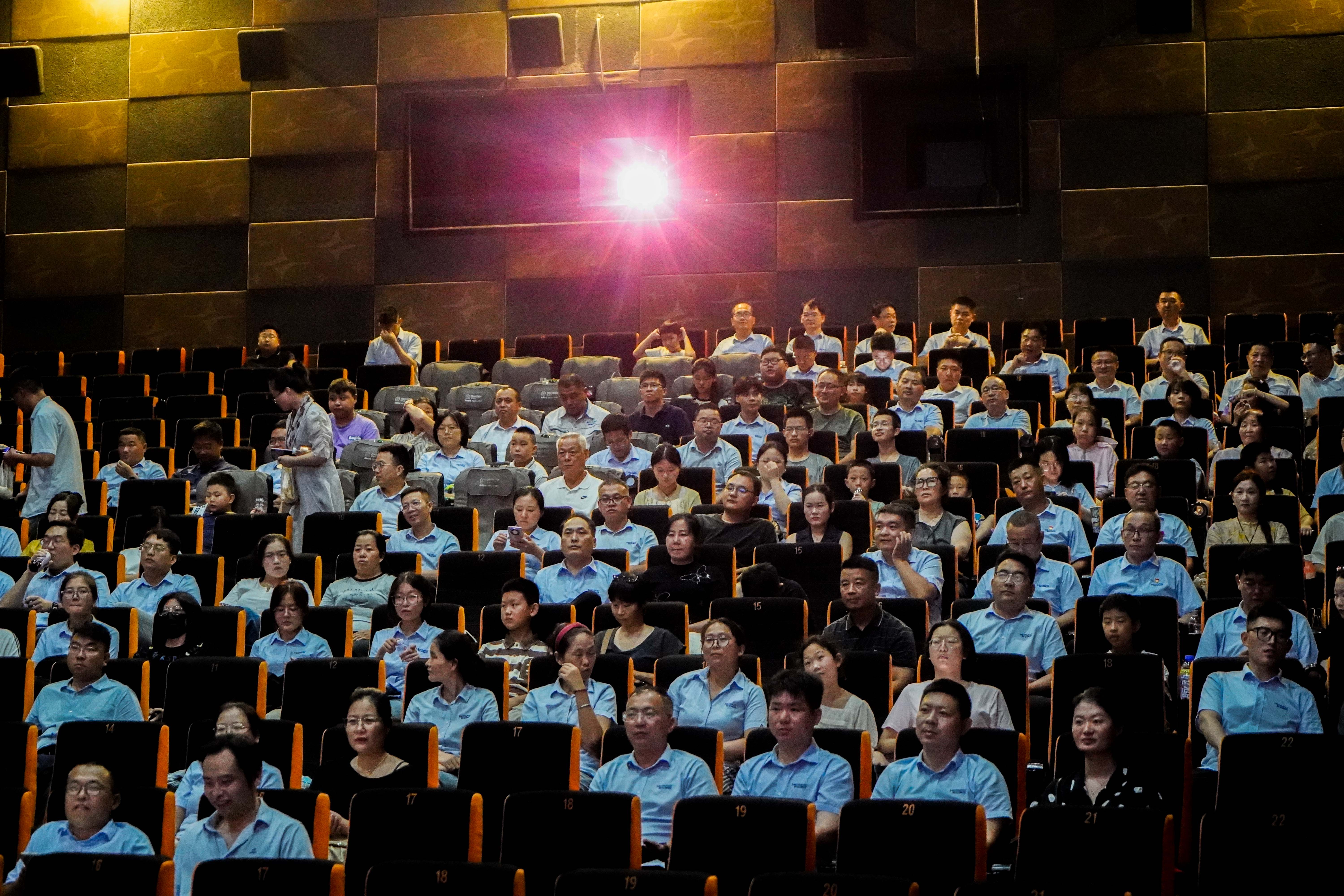 _DSC8235.jpg _DSC8235.jpg