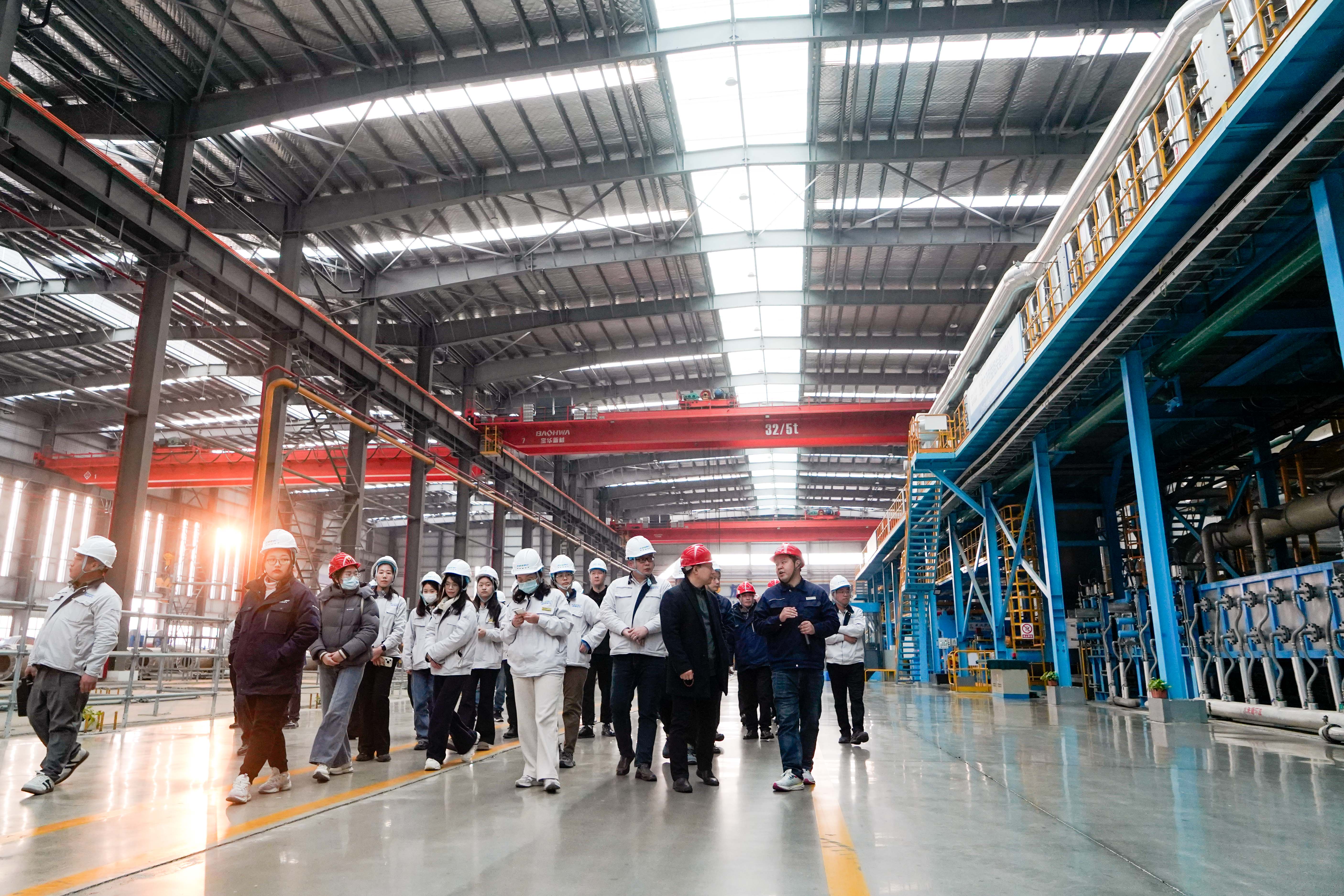 _DSC2484.jpg _DSC2484.jpg